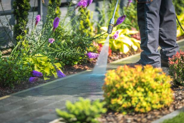 Best Deck and Patio Pressure Washing in Landover Hills, MD